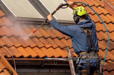 Démoussage et hydrofuge de toiture à Ramasse